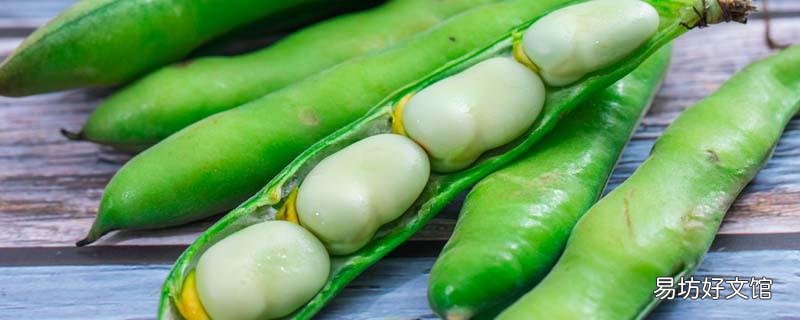 蠶豆的副作用 吃蠶豆對身體有什么好處