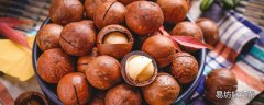 夏威夷果为什么奶油味 夏威夷果的口子是怎么出来的