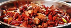 宫保鸡丁肉是鸡哪个部位 宫保鸡丁肉是脆的吗