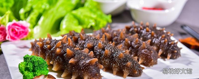 海参如何去腥味 为什么海参腥味重
