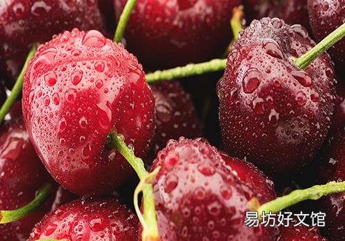 5天吃掉6斤车厘子 车厘子吃多了会中毒吗