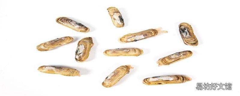 蛏子可以冷冻吗 蛏子冷冻保存方法