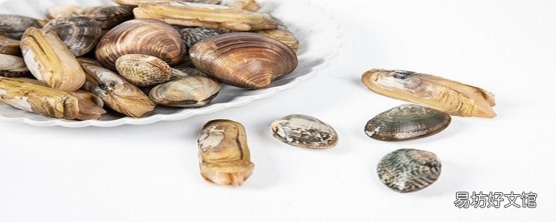 蛏子怎么炒着比较好吃 蛏子炒多久能熟