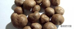 什么人不能吃山药豆 山药豆吃多了有害吗