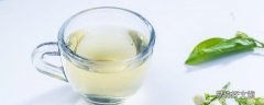 普洱和茉莉能一起泡吗 喝茉莉茶能减肥吗