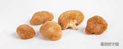 猴头菇可以冷冻保存吗 鲜猴头菇的保存方法