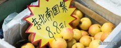 南果梨含酒精吗 南果梨的禁忌