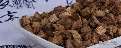 葛根泡水经期可以喝吗 为什么吃葛根例假提前