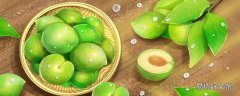 随便果有什么副作用吗 吃随便果能减肥吗