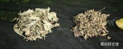 艾葉可以直接用燒著熏嗎 燒艾葉熏房間會(huì)中毒嗎