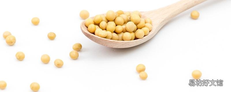 黃豆打豆?jié){可以下奶嗎 哺乳期能天天喝豆?jié){嗎
