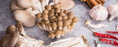 平菇上面有一层白毛是坏了吗 平菇上面有一些黄斑还能吃吗