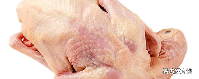 三种人不能吃鸽子 乳鸽和老鸽哪个营养好