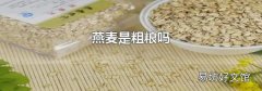 燕麦是粗粮吗