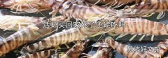 活虾买回家死了还能吃吗
