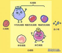 白细胞低的原因是什么 白细胞偏低是什么原因严重吗