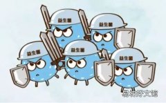 益生菌有哪些主要作用 益生菌可以增强宝宝的免疫力吗