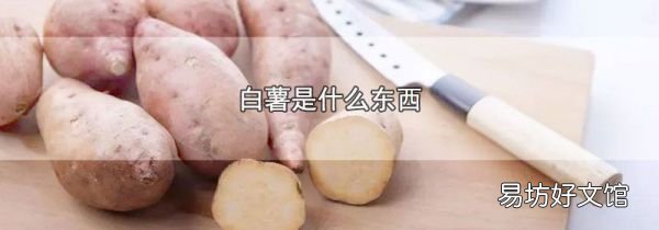 白薯是什么东西