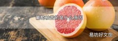 葡萄柚苦的是什么原因