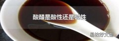 酸醋是酸性還是堿性
