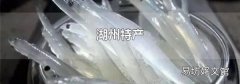 湖州特产