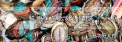鲜鲍鱼怎么处理清洗