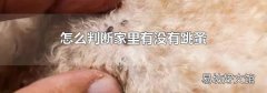 怎么判断家里有没有跳蚤