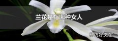 兰花是指哪种女人