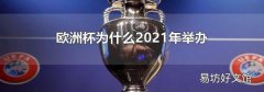 欧洲杯为什么2021年举办