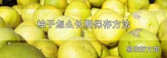 柚子怎么长期保存方法