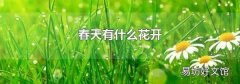 春天有什么花开