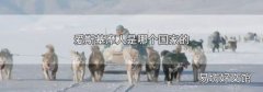 爱斯基摩人是哪个国家的