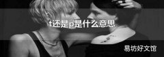 t还是p是什么意思