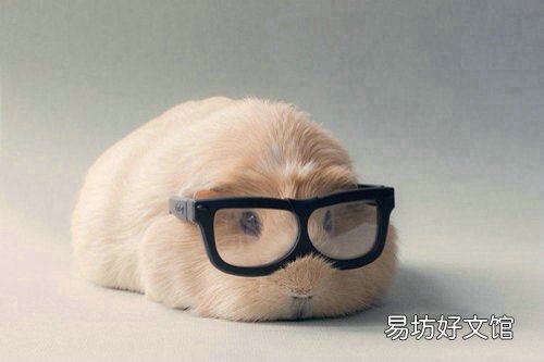该怎么去安慰一个失恋的女孩?失恋后会难过多少天