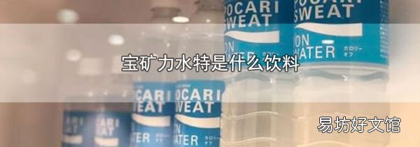 宝矿力水特是什么饮料