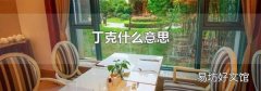 丁克什么意思