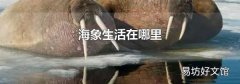海象生活在哪里