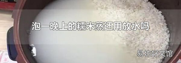 泡一晚上的糯米蒸还用放水吗