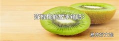 弥猴桃能放冰箱吗?