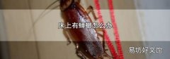 床上有蟑螂怎么办