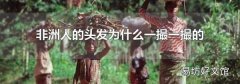 非洲人的头发为什么一撮一撮的