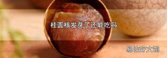 桂圆核发芽了还能吃吗