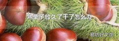 熟栗子放久了干了怎么办