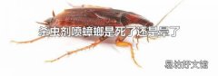杀虫剂喷蟑螂是死了还是晕了