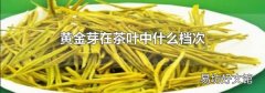 黄金芽在茶叶中什么档次