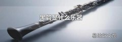 黑管是什么乐器