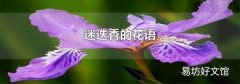 迷迭香的花语