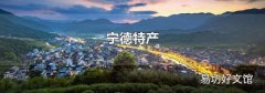 宁德特产