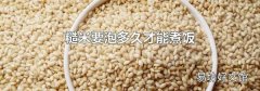 糙米要泡多久才能煮饭