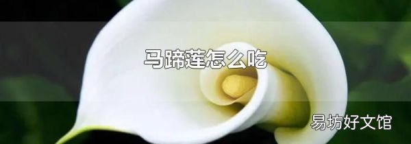 马蹄莲怎么吃